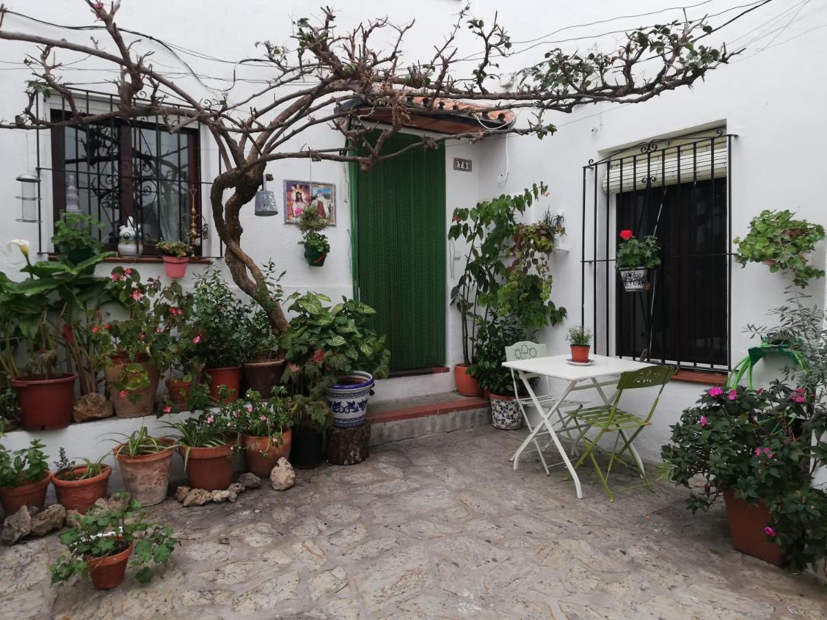 La Buganvilla De Juana Y Antonio Casares Dış mekan fotoğraf
