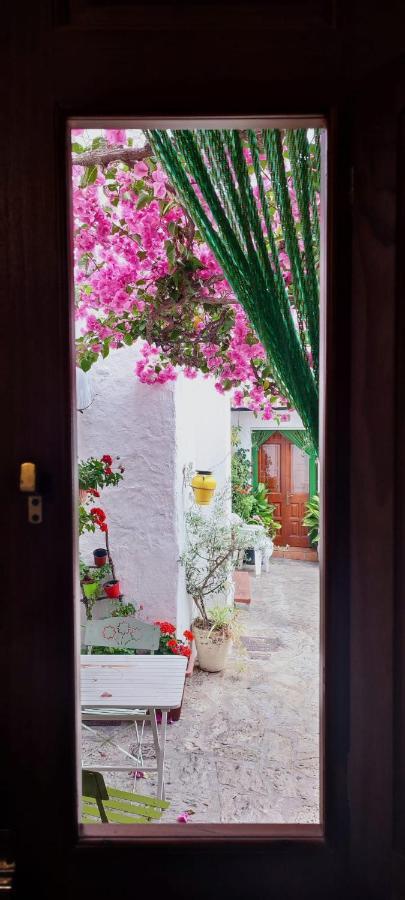 La Buganvilla De Juana Y Antonio Casares Dış mekan fotoğraf