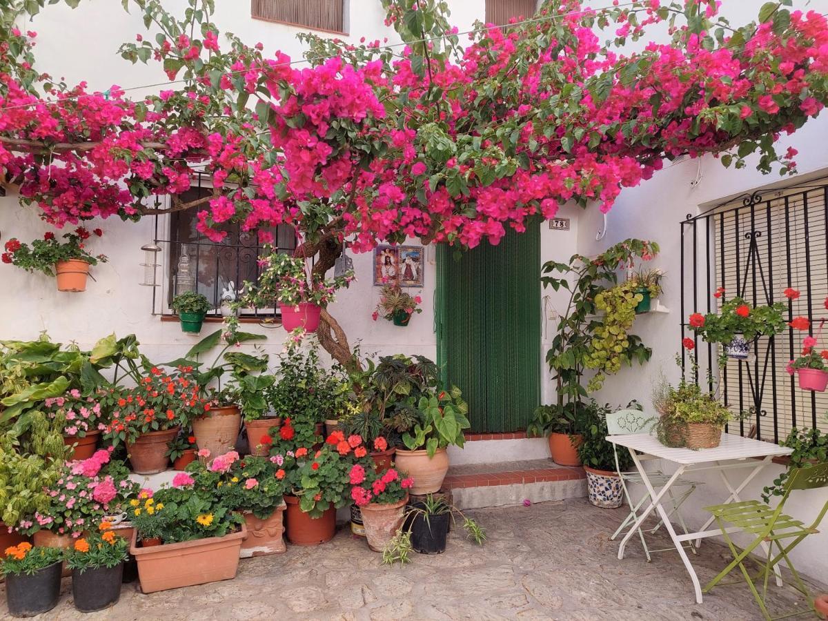 La Buganvilla De Juana Y Antonio Casares Dış mekan fotoğraf
